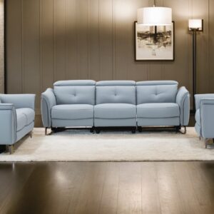 Ashton Dual Power Motion Group