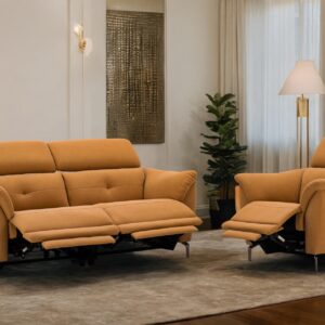 Valencia Dual Power Motion Group